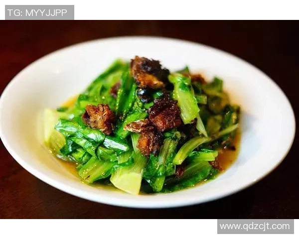 全球油麦菜沙拉大赛盛大开幕广州成为美食竞技新舞台